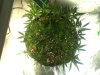 IMG_20120917_124420.jpg