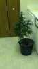 2012-09-27_03-04-37_558.jpg