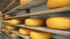cheese_smuggler.jpg cheese_smuggler.jpg