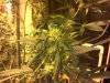 2012-09-28_22-01-41_620.jpg 2012-09-28_22-01-41_620.jpg