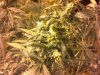 2012-09-28_22-02-42_468.jpg 2012-09-28_22-02-42_468.jpg