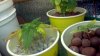 2012-09-29_22-38-22_624.jpg