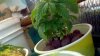 2012-09-29_22-37-43_800.jpg