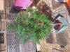 2012-09-26 12.54.46.jpg