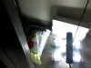 Snapshot_20120928.JPG