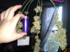 20120930_080625.jpg