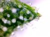 20120930195809.jpg