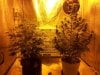 Flower Room.jpg Flower Room.jpg