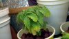 2012-10-01_14-31-17_97.jpg