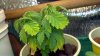 2012-10-01_14-33-58_163.jpg