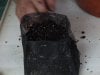 Fill With Soil.JPG