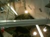DSCF0007.jpg DSCF0007.jpg