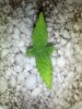 C99 Plant 2.jpg