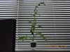 DSCN3049.jpg