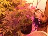 day17-5gallon.jpg