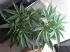 20121003_104800.jpg 20121003_104800.jpg