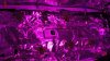 DSC04143.jpg
