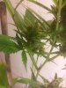 20121003_190238.jpg
