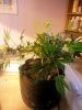 20121003_155757.jpg