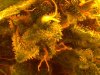 2012-10-03_01-12-32_296.jpg