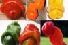 chilly-willy-peppers.jpg
