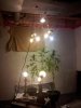 20121004_204438.jpg