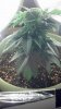 2012-10-04_23-08-54_931.jpg 2012-10-04_23-08-54_931.jpg