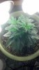 2012-10-04_23-09-00_600.jpg 2012-10-04_23-09-00_600.jpg