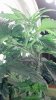 2012-10-04_23-20-41_935.jpg 2012-10-04_23-20-41_935.jpg