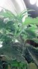 2012-10-04_23-20-47_36.jpg 2012-10-04_23-20-47_36.jpg
