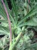 20121004_232647.jpg