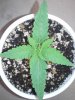 20121005_104509.jpg