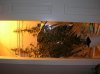 DSCN0942.jpg