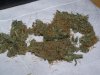 100_3901.jpg