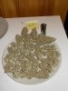 DSCN0495.jpg