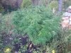 12012009572.jpg