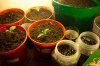 100_2794.jpg