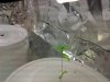2012-10-07180104.jpg