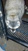 2012-10-06_19-30-53_951.jpg