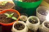 100_2801.jpg