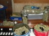 pipe 002.jpg