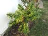 20121011_075649.jpg