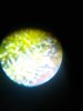 IMG_20121011_191232.jpg