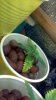 2012-10-13_01-08-15_636.jpg