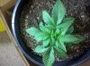 2012-10-11_09-42-01_788.jpg 2012-10-11_09-42-01_788.jpg