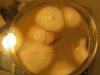 DSCF2118.jpg