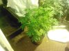 IMG_20121013_121714.jpg