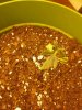 20121013_084355.jpg 20121013_084355.jpg