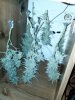 IMG_20121012_184820.jpg