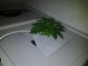 20121013_184857_cleaned.jpg